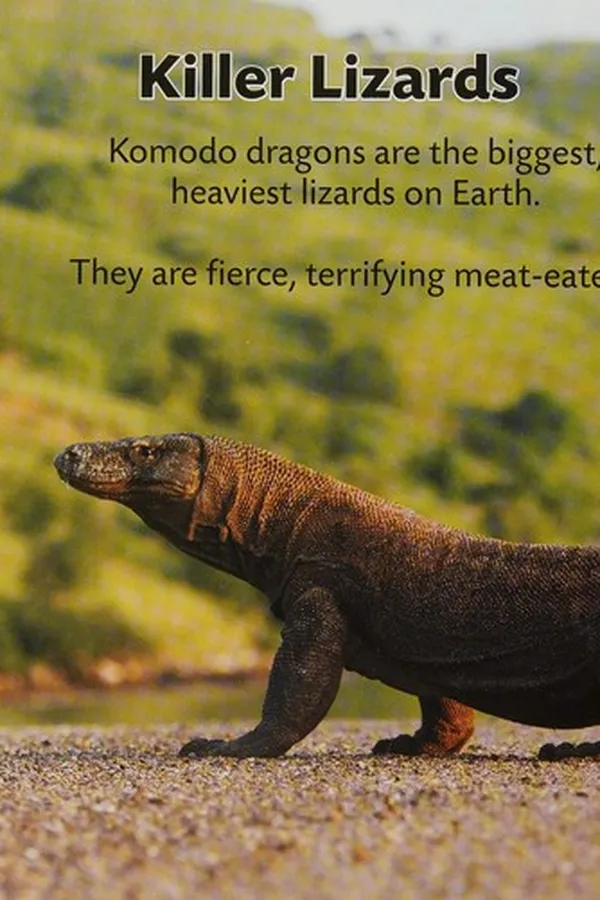 Capa de Komodo dragon