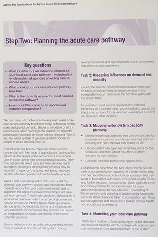 Capa de Laying the foundations for better acute mental healthcare