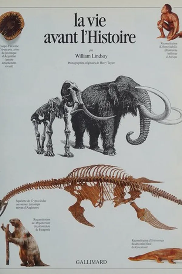 Capa de La vie avant l'histoire