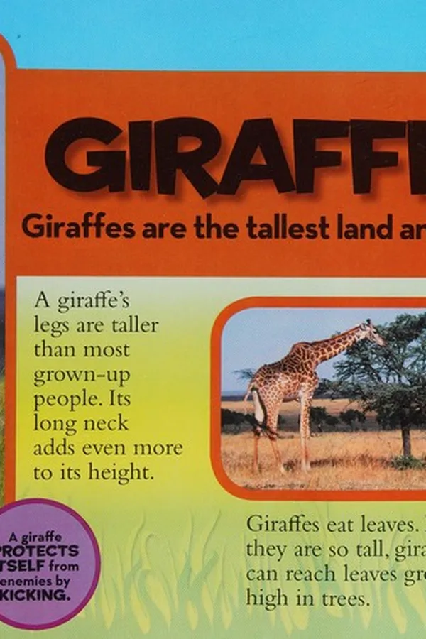 Cover of Book of animals