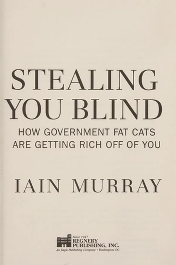 Cover of Stealing you blind