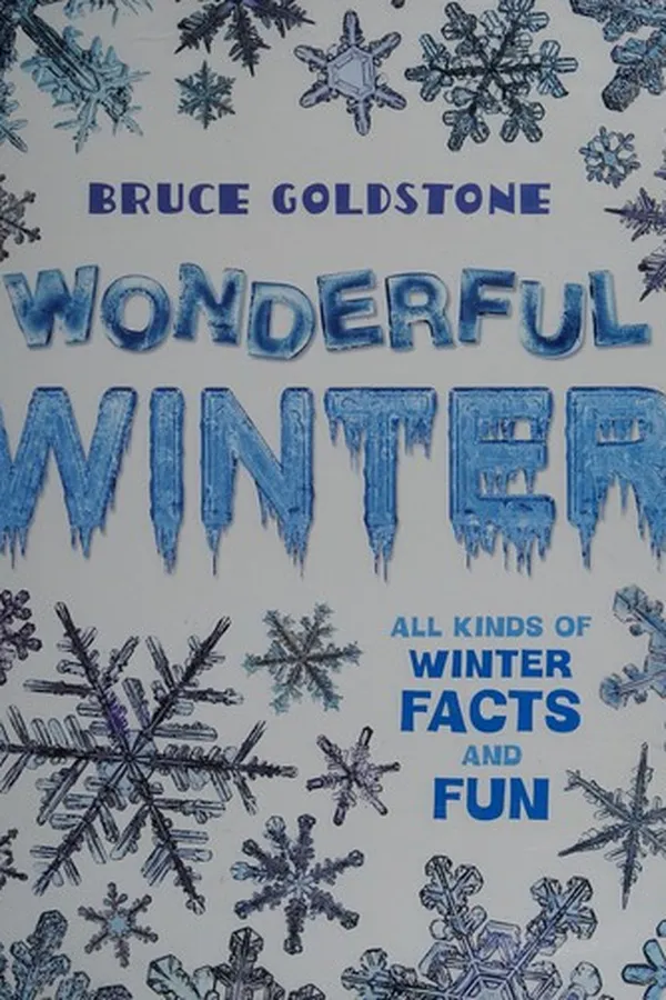 Capa de Wonderful winter
