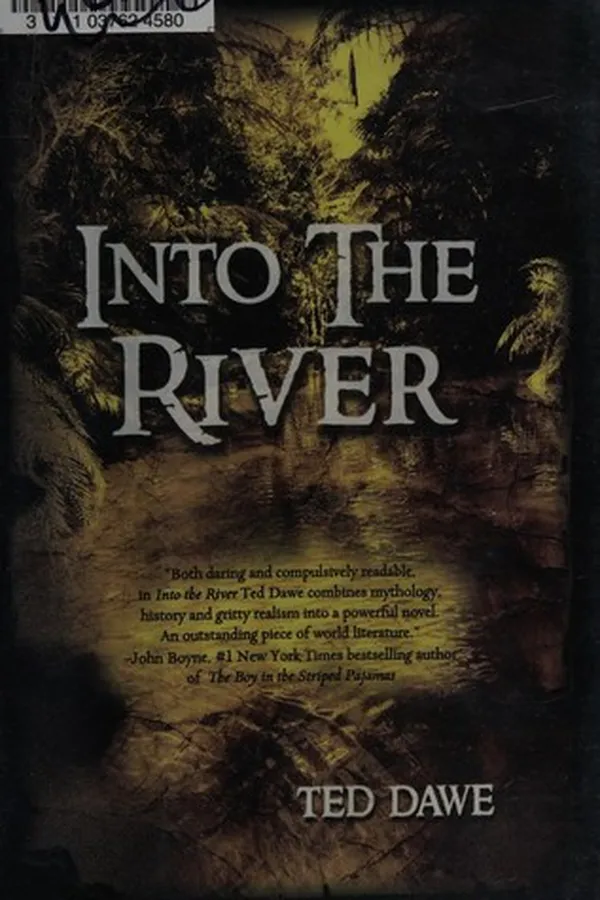 Capa de Into the river