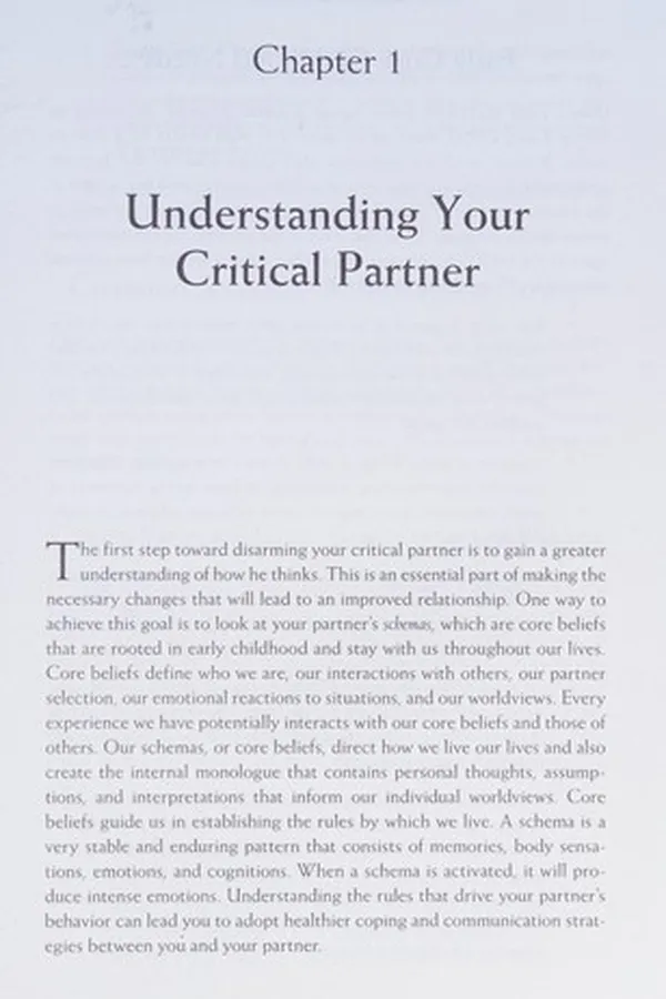 Cover of The critical partner