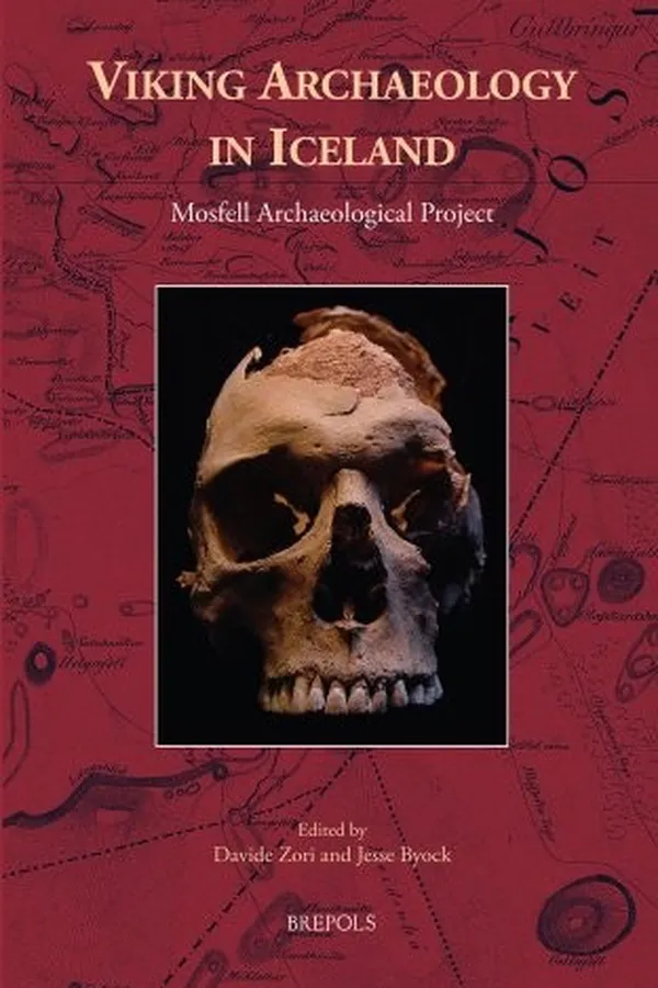 Capa de Viking Archeology in Iceland