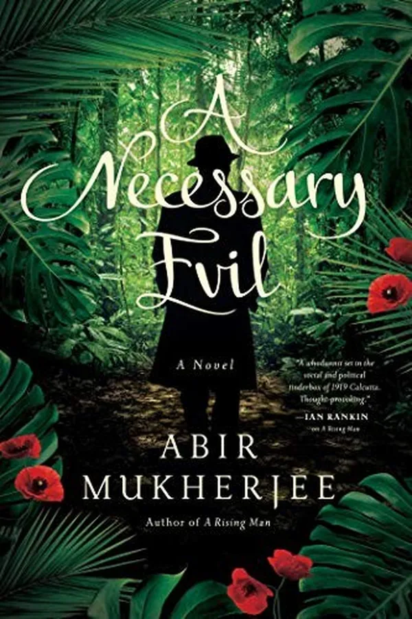 Capa de A necessary evil