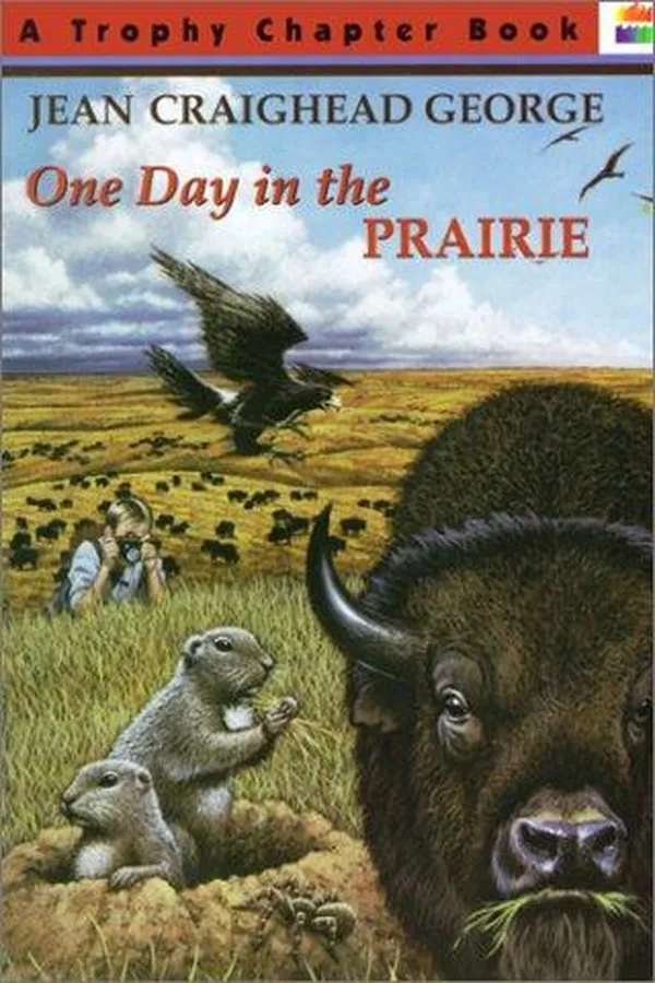 Capa de One Day in the Prairie