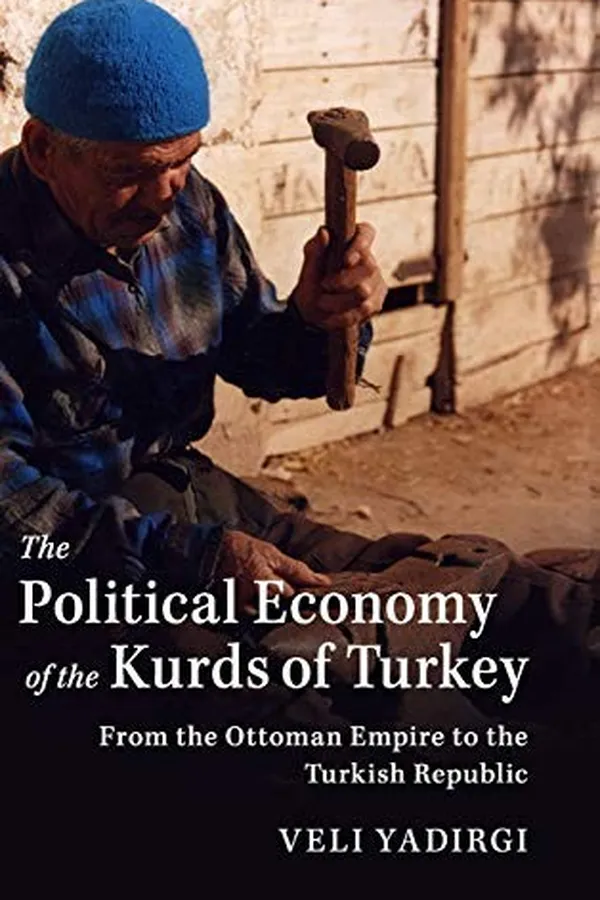 Capa de The political economy of the Kurds of Turkey