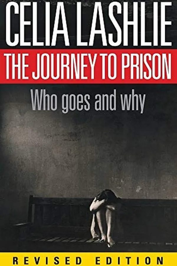 Capa de The journey to prison