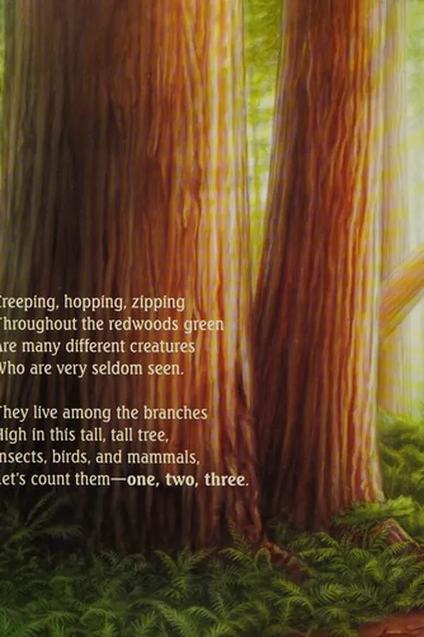 Capa de Tall, tall tree