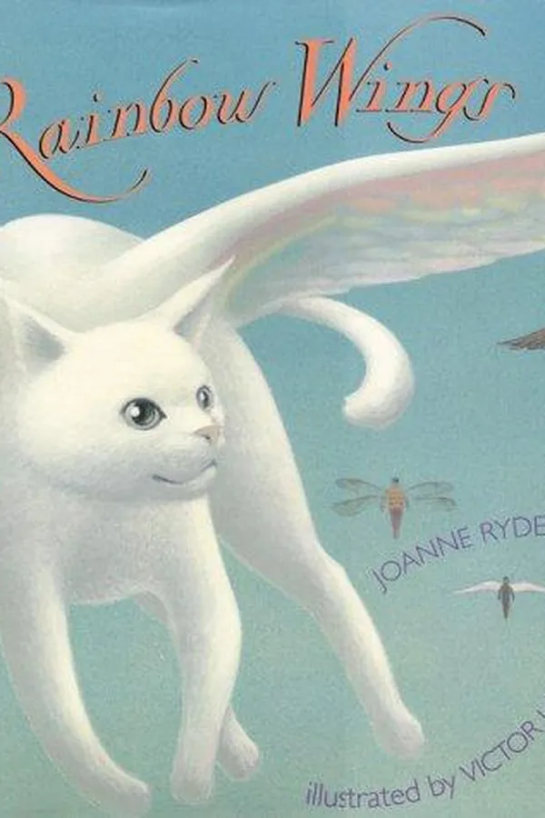 Capa de Rainbow wings