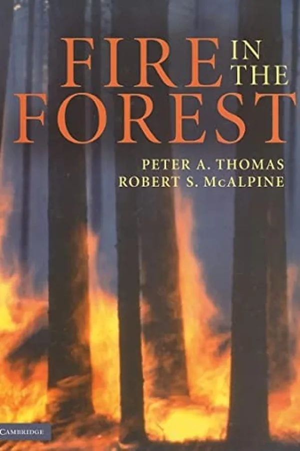 Capa de Fire in the forest