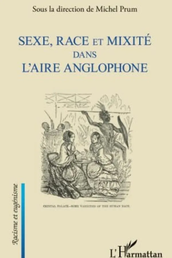 Capa de Sexe, race et mixité dans l'aire anglophone
