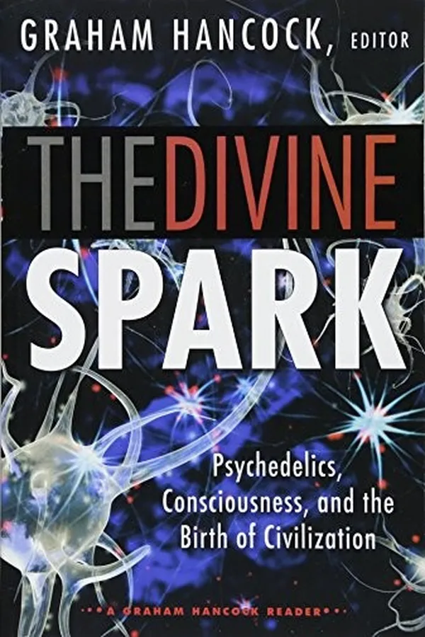 Cover of The divine spark