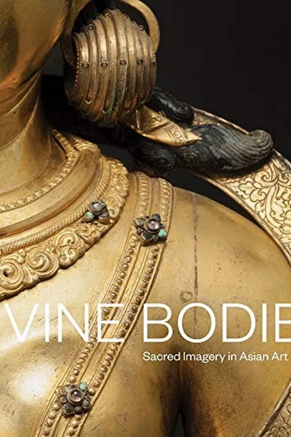 Capa de Divine bodies