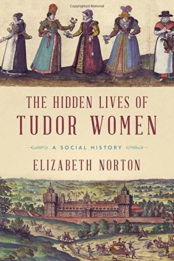 Capa de The hidden lives of Tudor women