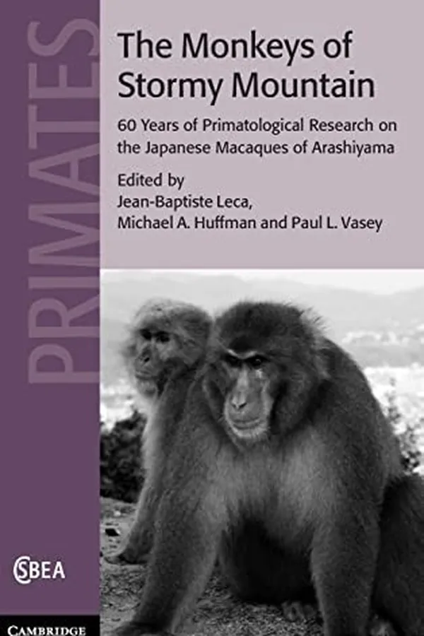 Capa de The monkeys of Stormy Mountain