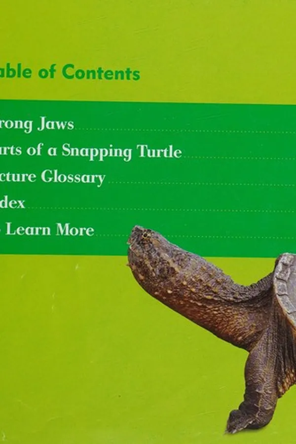 Capa de Snapping turtles