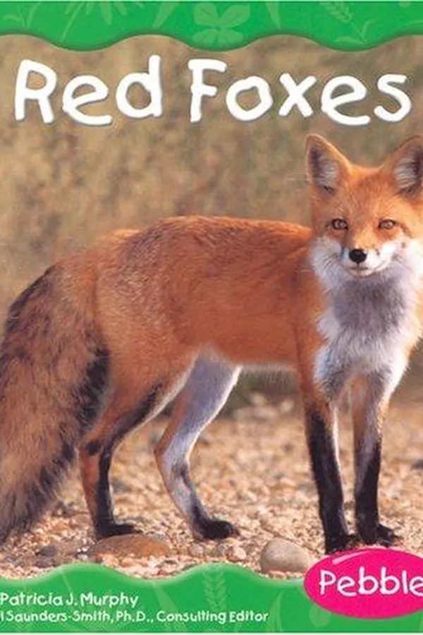 Capa de Red foxes