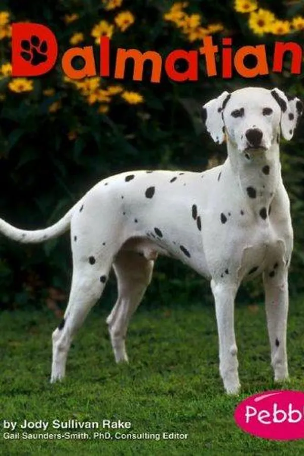 Capa de Dalmatians