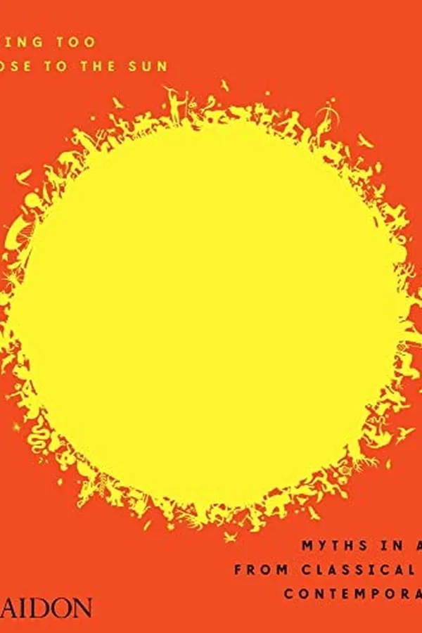Capa de Flying too close to the sun