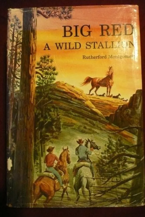Capa de Big Red, a wild stallion
