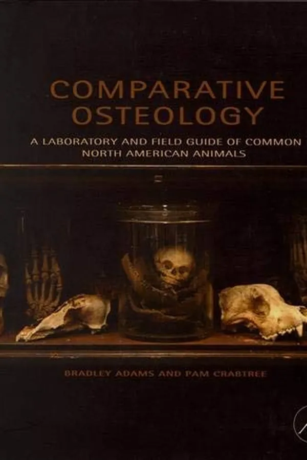 Cover of Comparative osteology