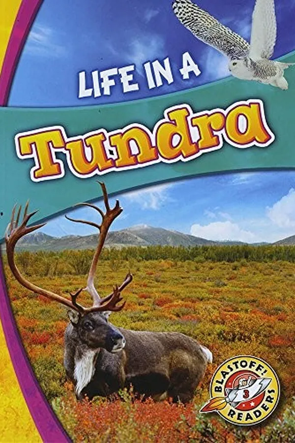 Capa de Life in a tundra