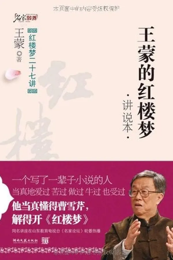 Cover of Wang Meng de hong lou meng