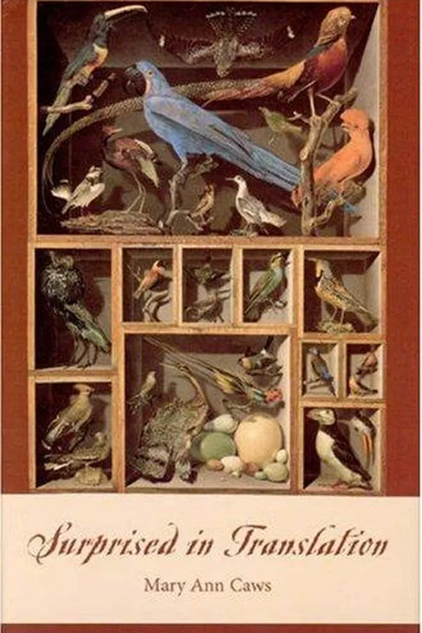 Capa de Surprised in Translation