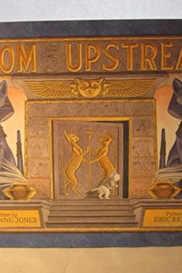 Capa de Zoom upstream