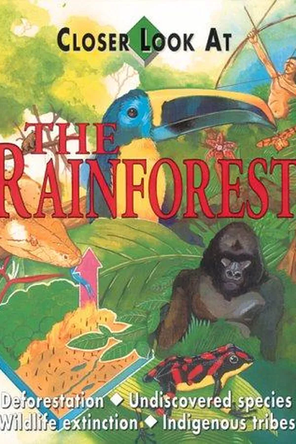 Capa de The rainforest