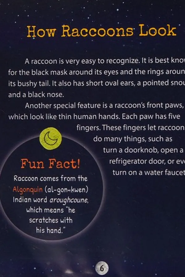 Capa de Raccoons after dark