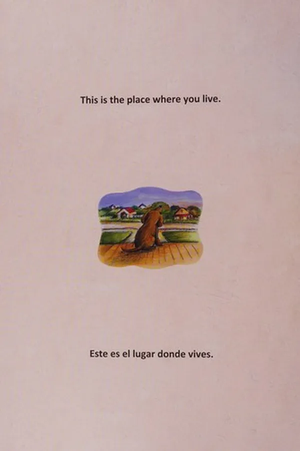 Capa de The place where you live