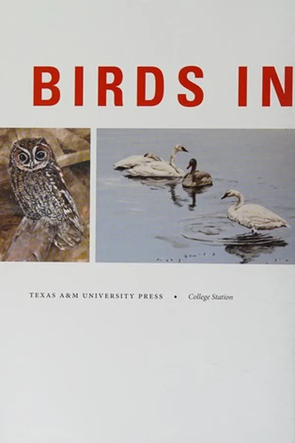 Capa de Birds in trouble