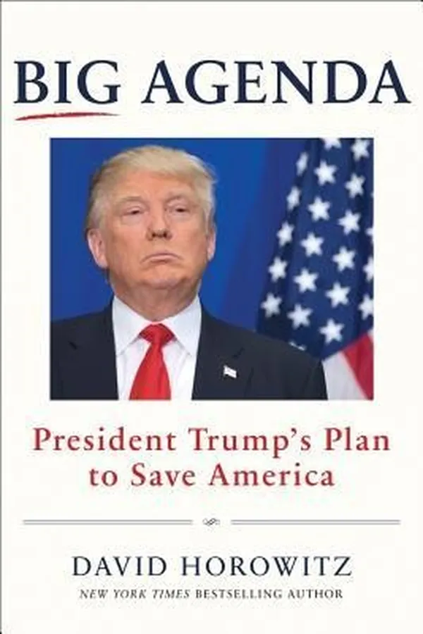 Capa de Big agenda