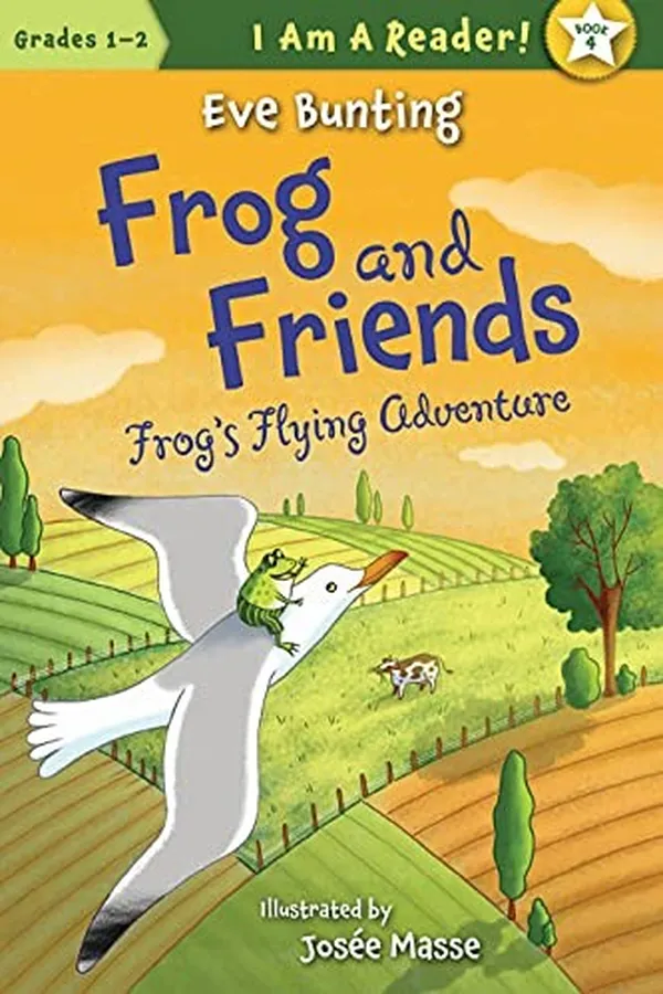 Capa de Frog's flying adventure
