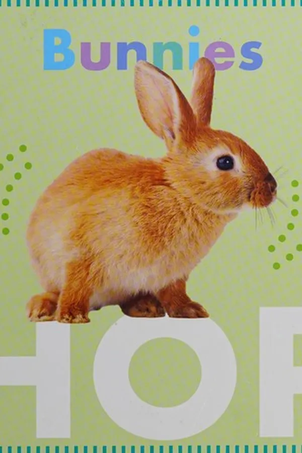 Capa de Bunnies Hop