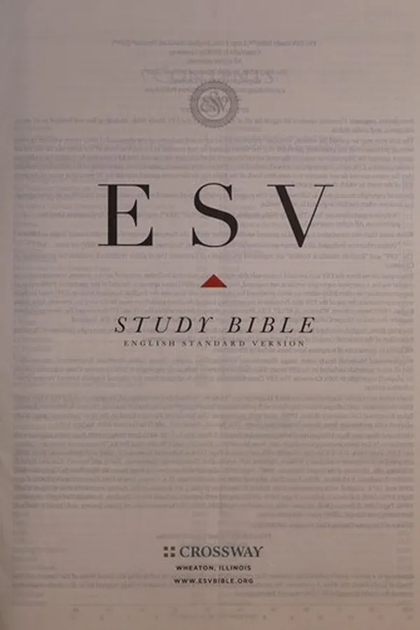 Capa de The Holy Bible