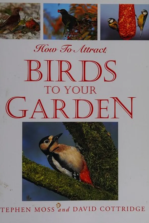 Capa de How to Attract Birds to Garden