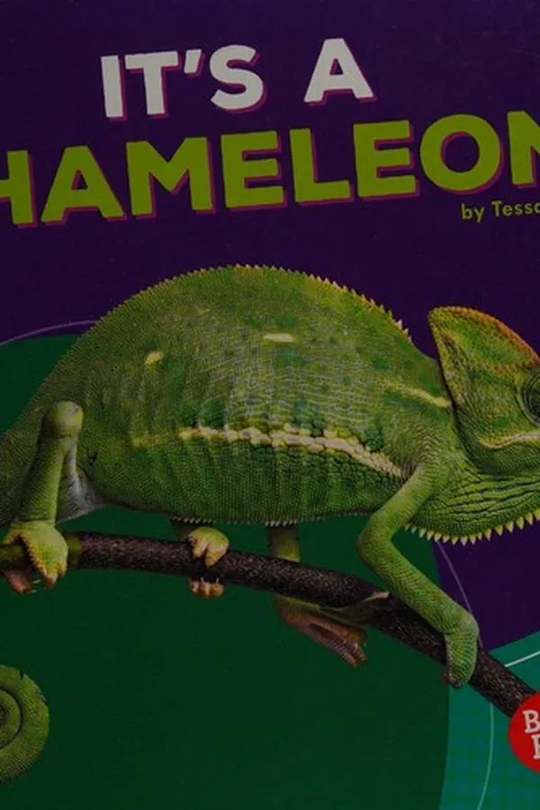 Capa de It's a Chameleon!