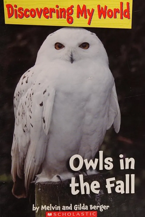 Capa de Owls in the fall