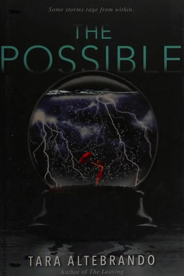 Capa de The possible