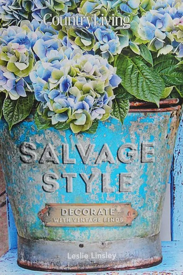 Capa de Salvage style