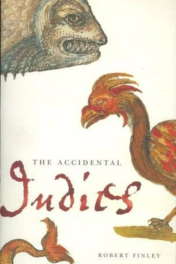 Capa de The accidental Indies