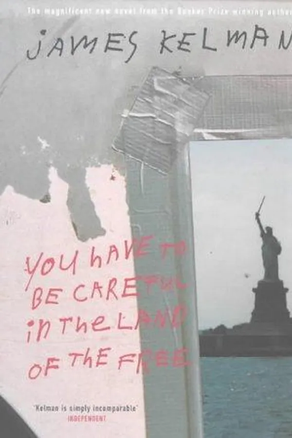 Capa de You have to be careful in the land of the free