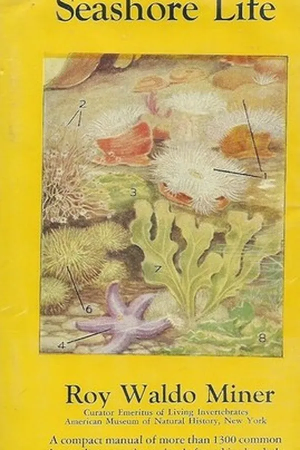 Capa de Field Book of Seashore Life