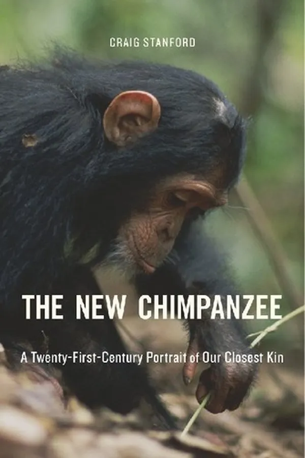 Capa de The new chimpanzee