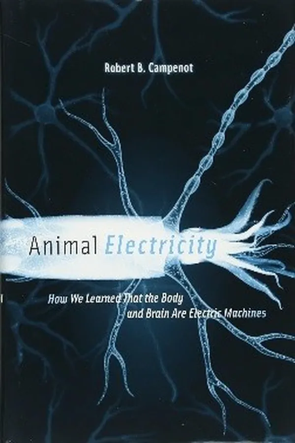 Capa de Animal Electricity
