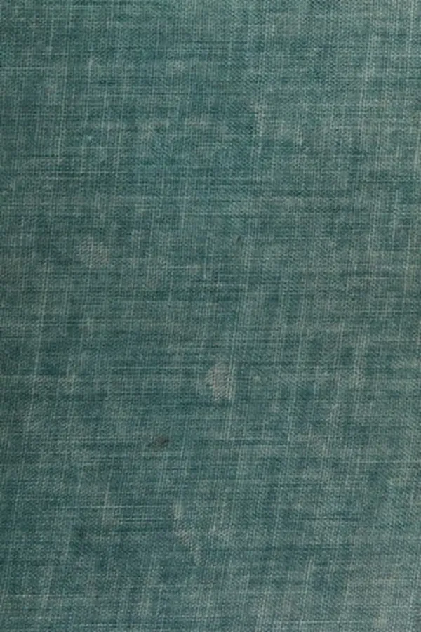 Capa de The advance of the fungi